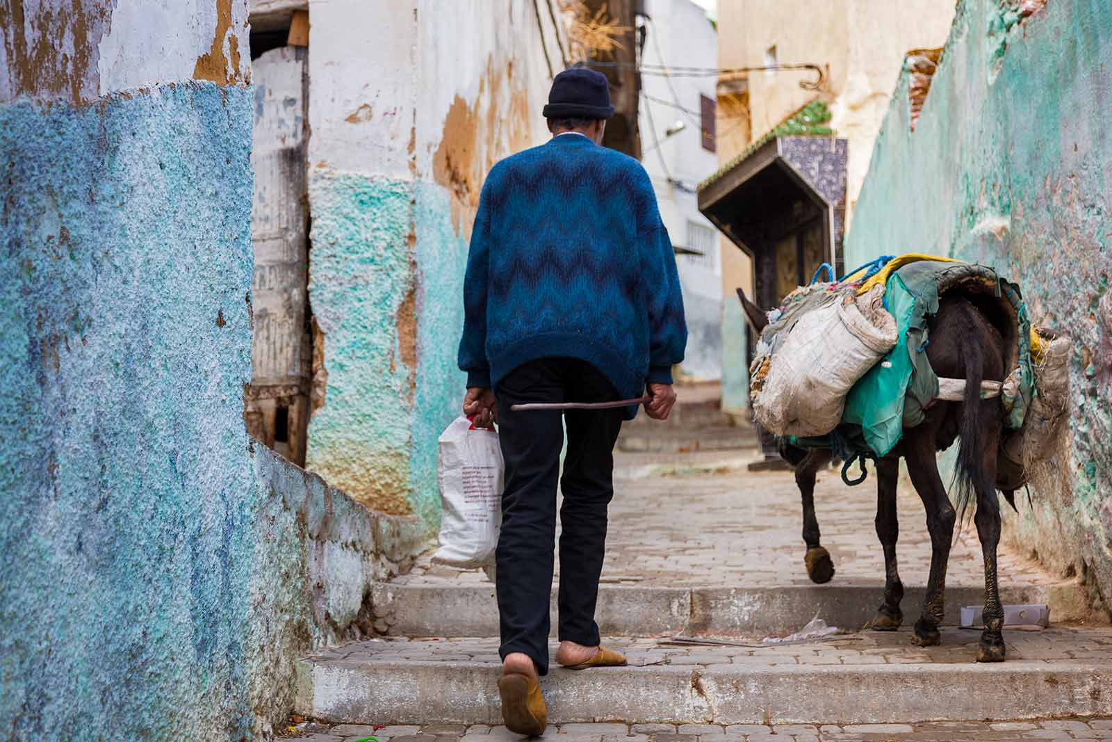 Donkeys can be seen everywhere in Moulay Idriss. They're used to transport everything from people, shopping, luggage, beds, fridges, tables due to the hilly nature of the town.
