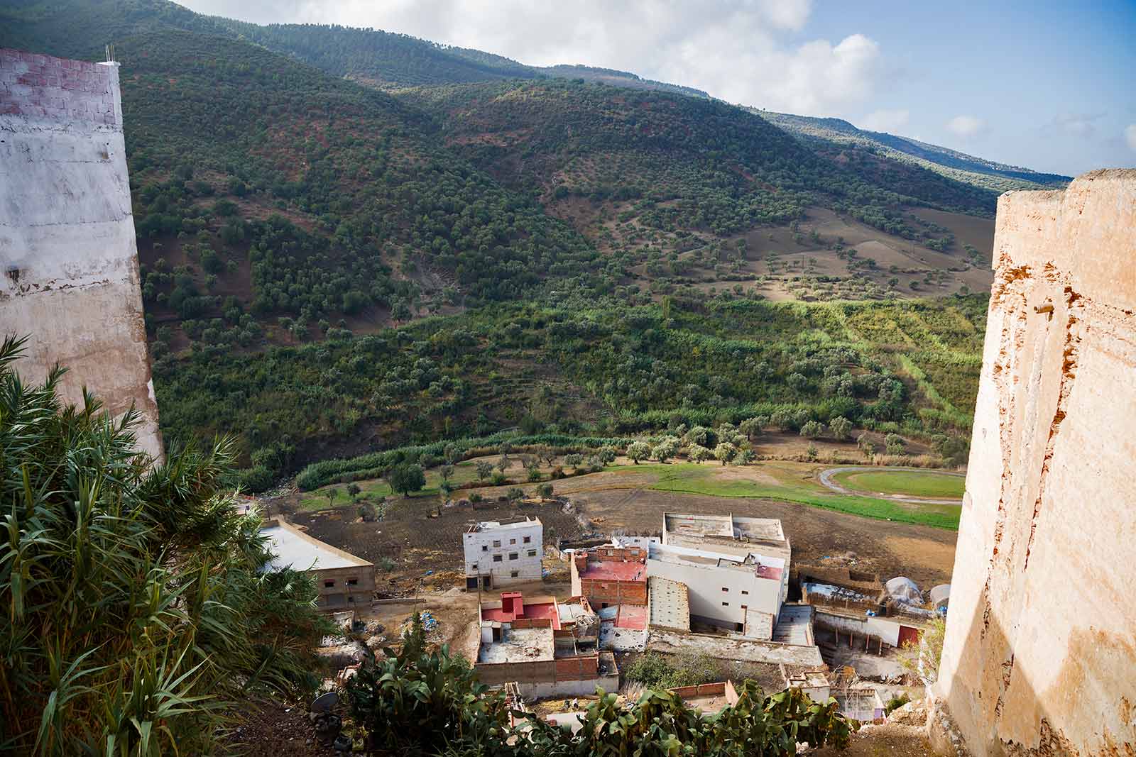 One reason the Romans chose Moulay Idriss was for its potential for making olive oil, which is today the town’s primary product.