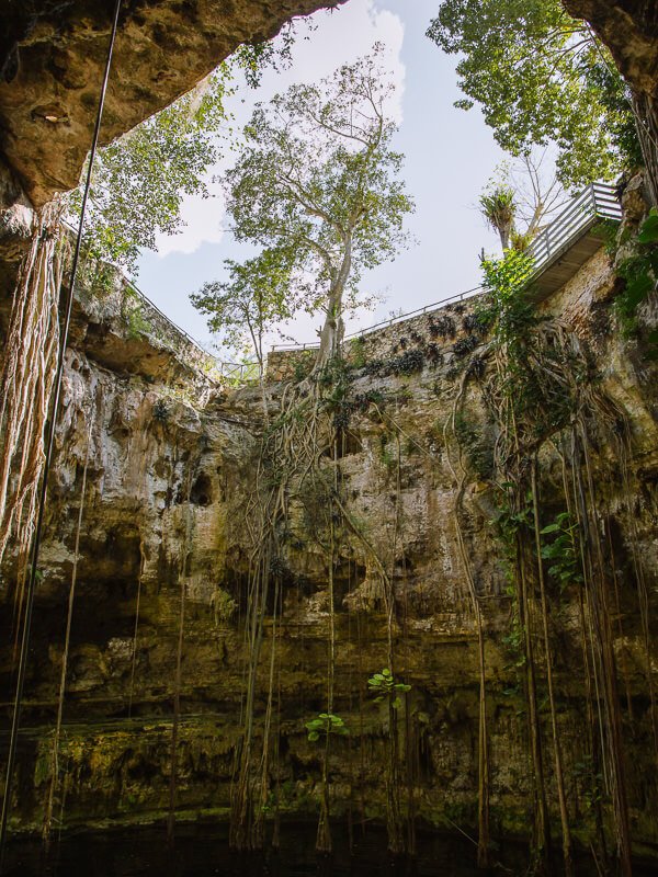 san lorenzo oxman cenote yucatan mexico 4