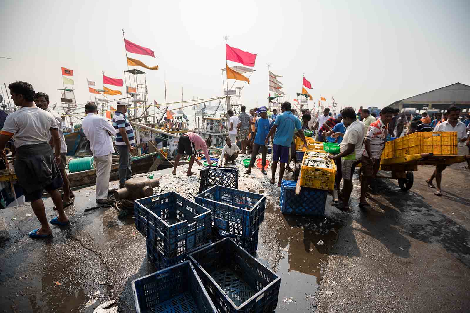 A typical day at Sassoon Docks begins at 5 am when the fresh catch is brought in from the sea.