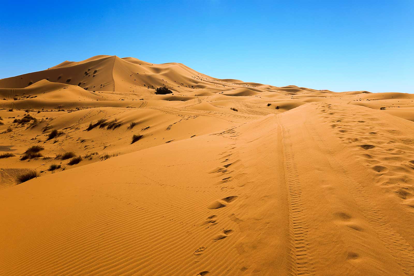 Erg Chebbi is one of Morocco's two Saharan ergs near the small village of Merzouga. And erg is a large sea of dunes formed by wind-blown sand. The other is Erg Chigaga near M'hamid (south of Zagora).