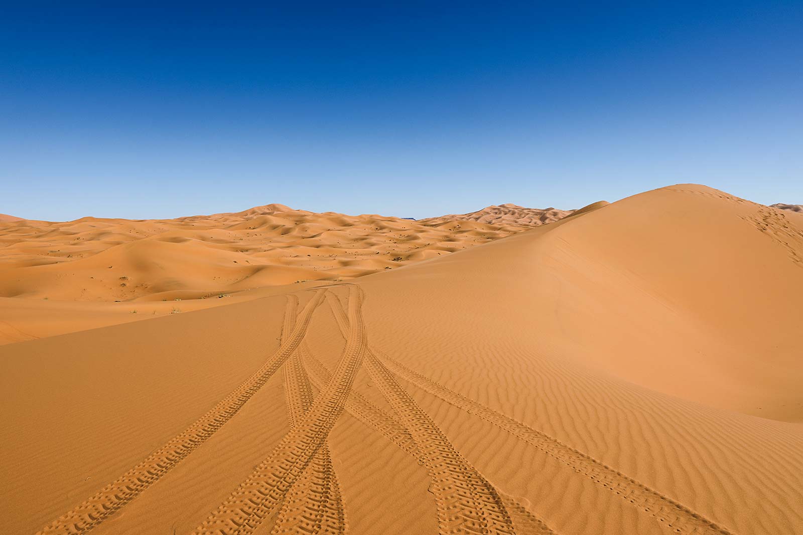 The dunes of Erg Chebbi reach a height of up to 150 meters in places and altogether it spans an area of 50 kilometers from north to south and up to 5–10 kilometers from east to west.