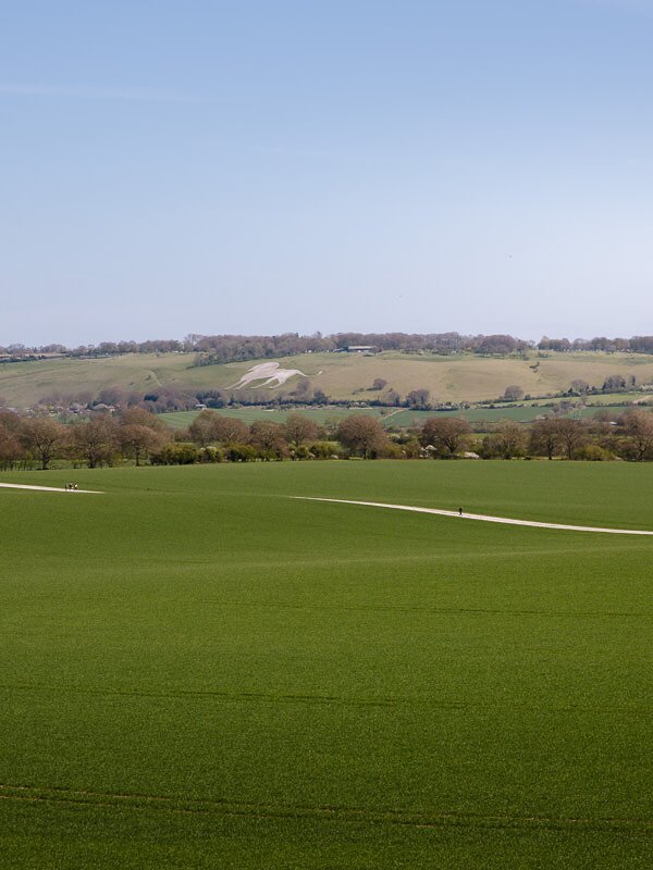 Green slopes of the country fields on the Ivinghoe Beacon walk near London