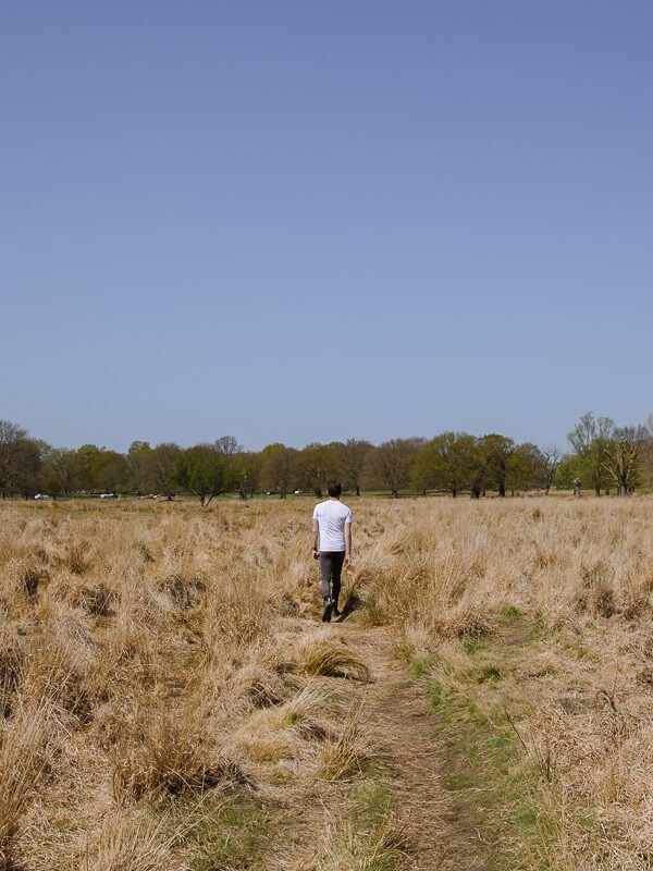 Walking through the long grasses near the Richmond Park walk