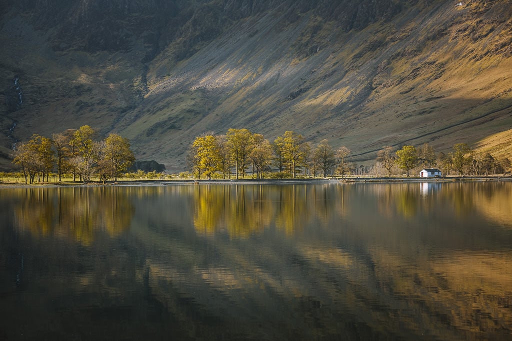 A stand of trees beside a lake dwarfed by the face of a huge mountain is a great photography spot in the Lake District